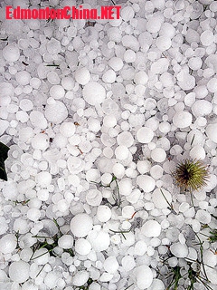 ��Ƭ 032_����_����.jpg