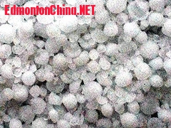 ��Ƭ 037_����_����.jpg