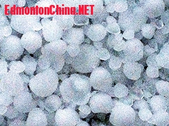 ��Ƭ 040_����_����.jpg