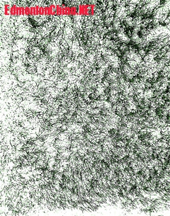 ��Ƭ 047_����_����.jpg