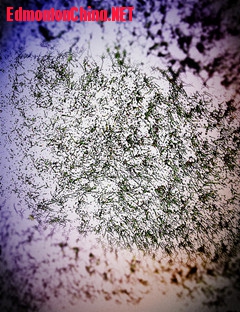 ��Ƭ 048_����_����.jpg