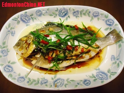 ����¬��