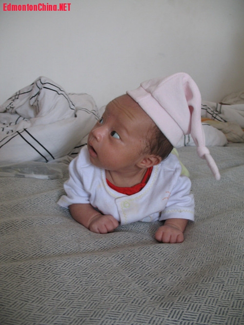 pie 125_����.jpg