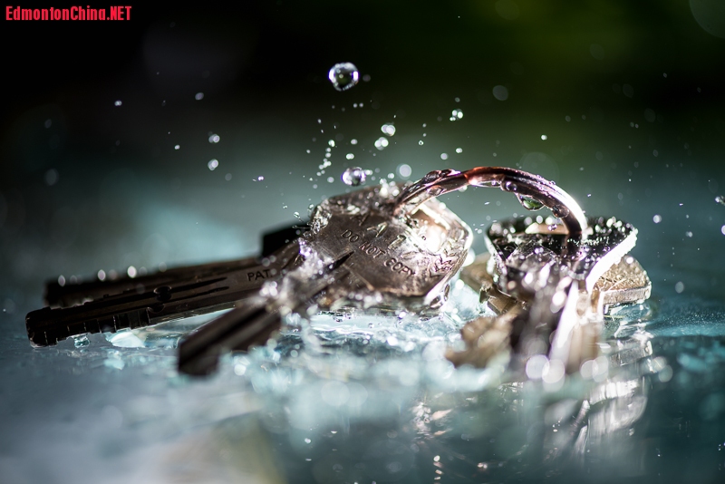 DSC_7844-1.jpg