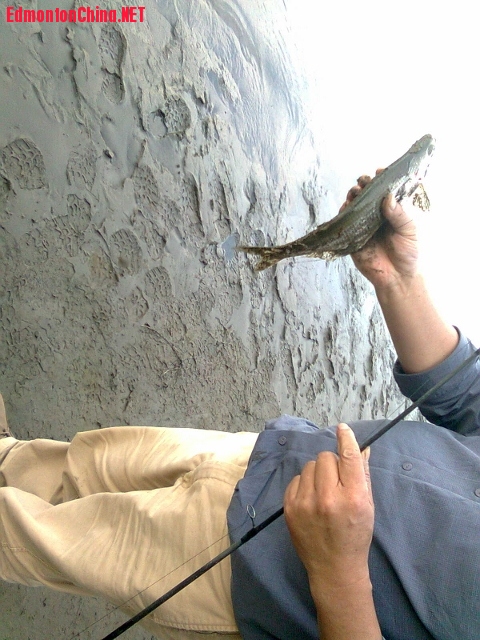 Image0045 (480x640).jpg