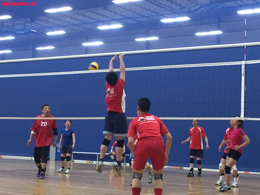 IMG_1685 (1024x768).jpg