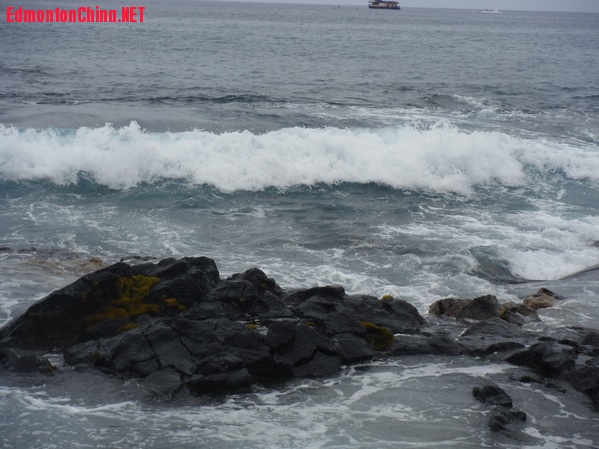 DSCF4672.JPG
