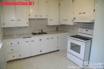 bc4662d3gw1ew1a7pzvv8j21kw11x451.jpg
