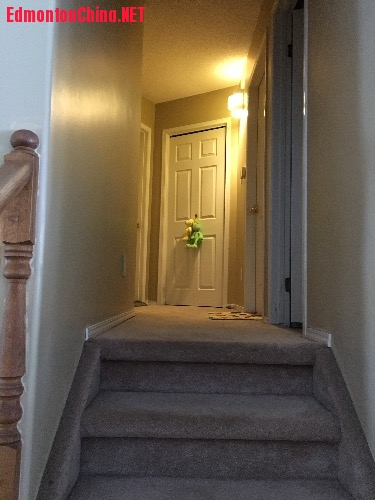 image.jpeg