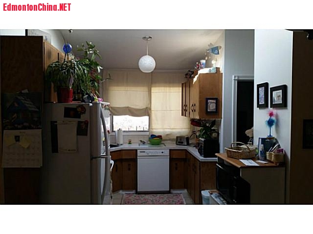 E3416218_401_18.jpg