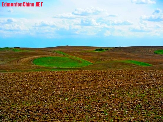 DSCF9989.JPG