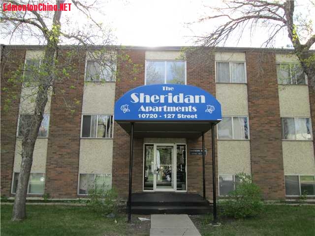 E3337543_1.jpg