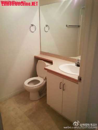 image.jpeg