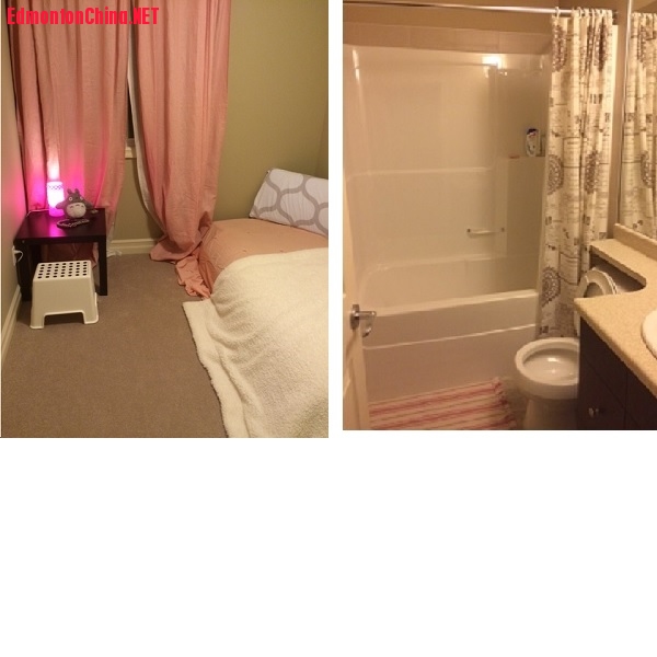 homeset.jpg