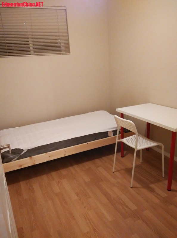 B3(400).jpg