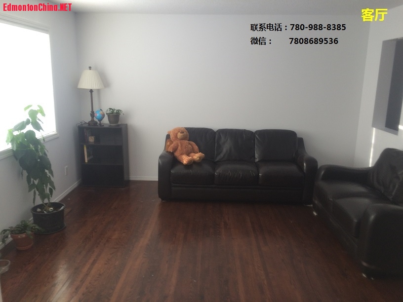 LivingRoom.JPG