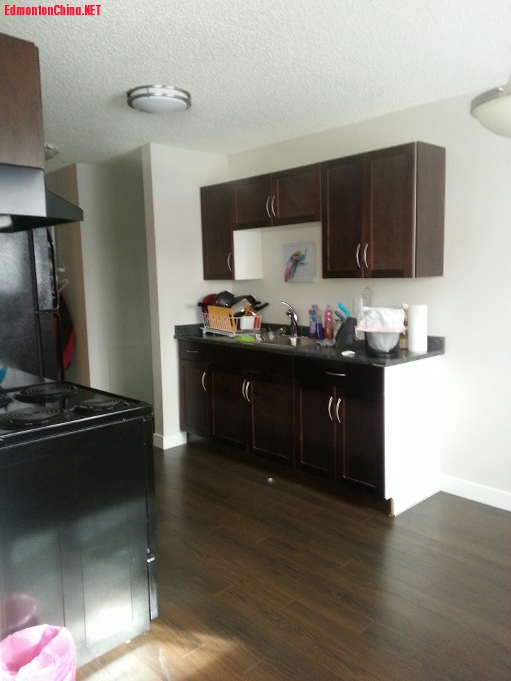 20140308_110801_resized.jpg