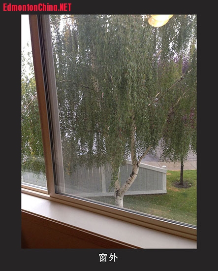 window.jpg