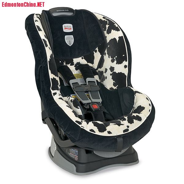carseat2.jpg