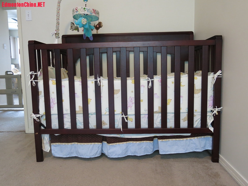 gracoʵľӤ����