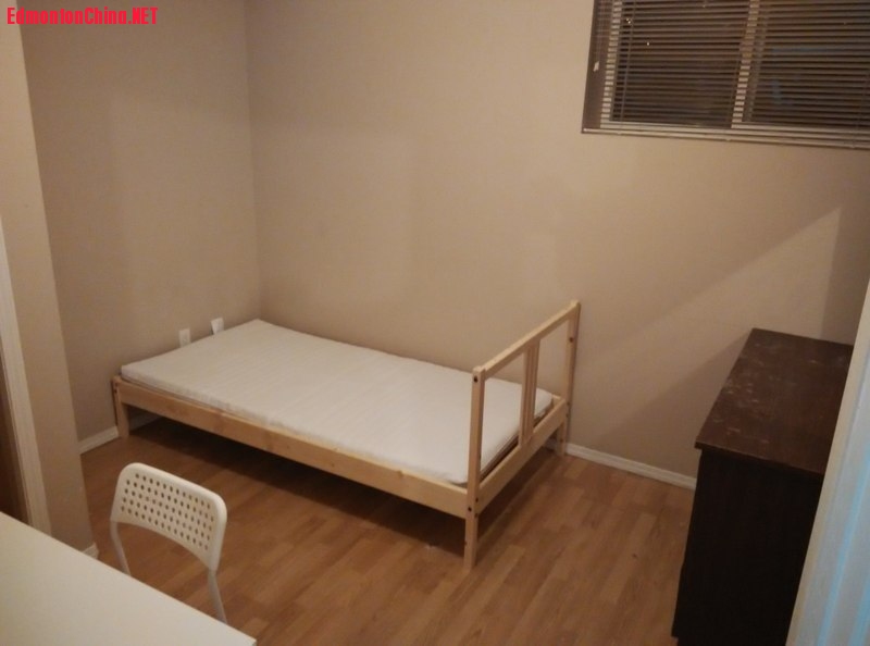 B3