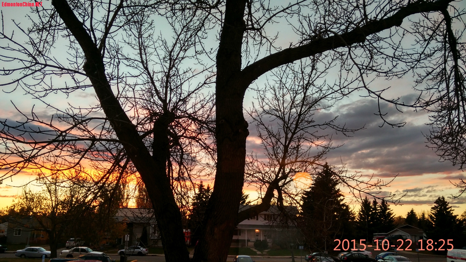 2. The view of the dining room window_meitu_1.jpg