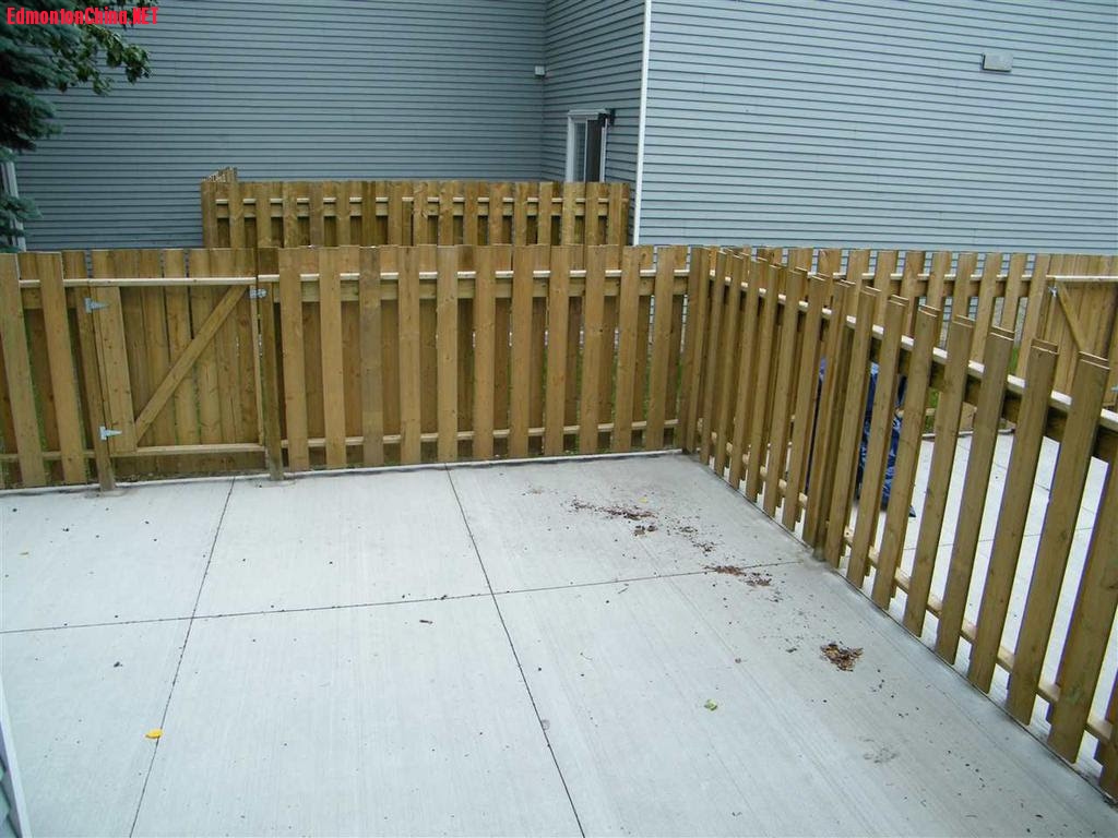 rent4.jpg