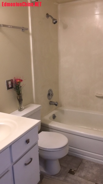 image5.JPG
