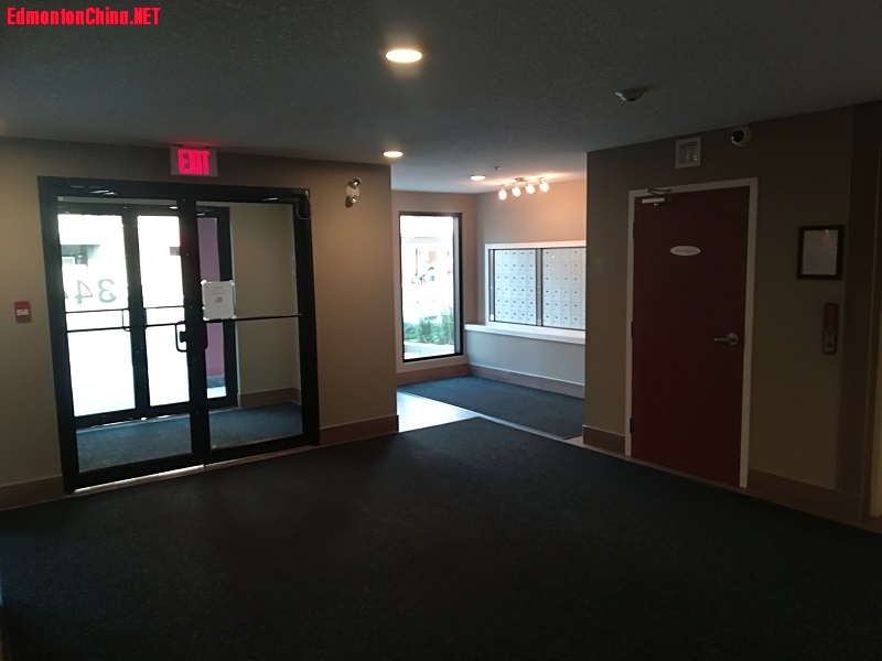 150057xvtehtbvgvvcci9h.jpg