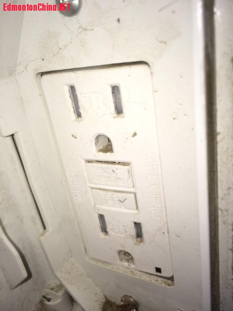 image1.JPG