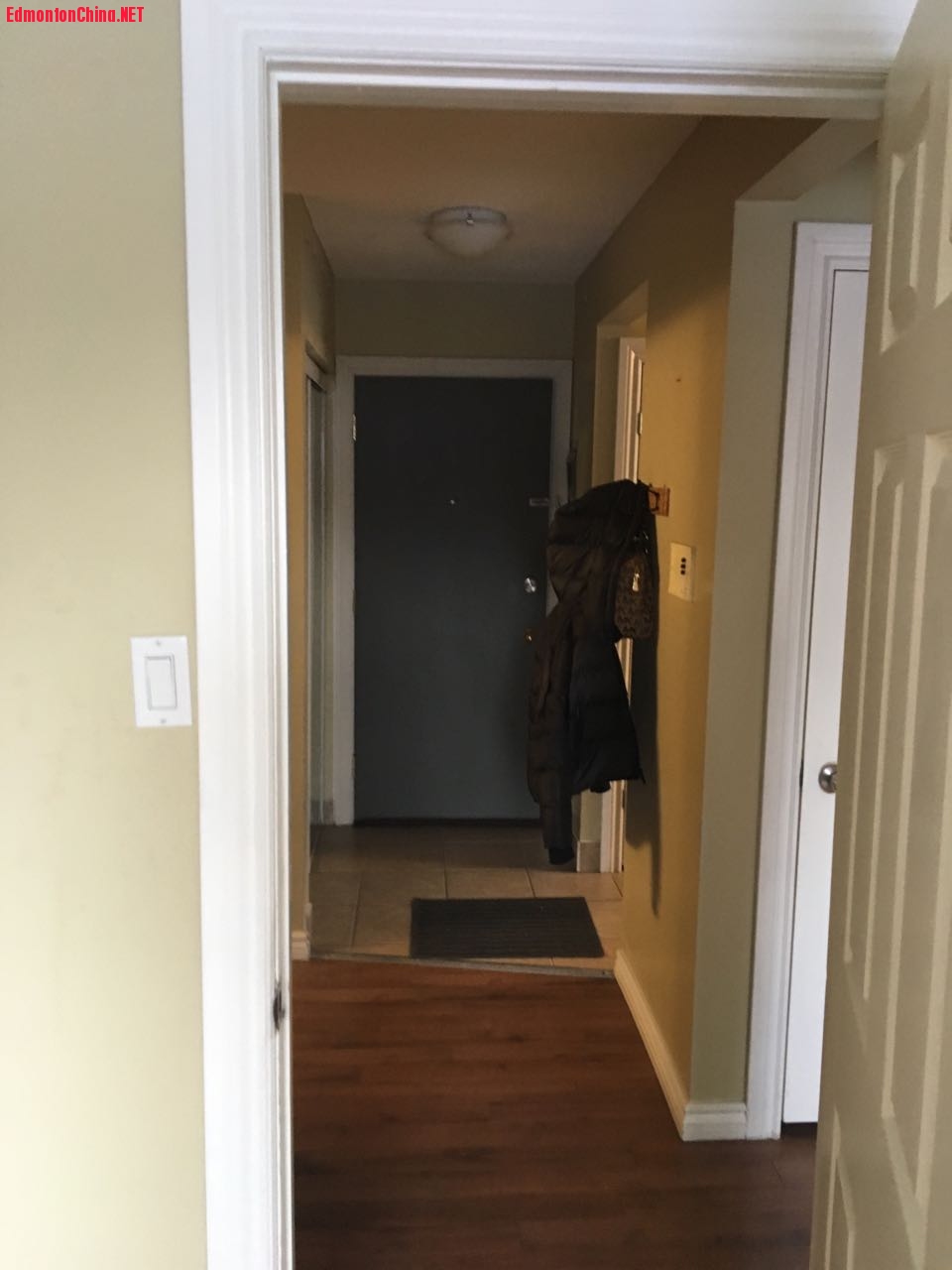 mmexport1515959670504.jpg