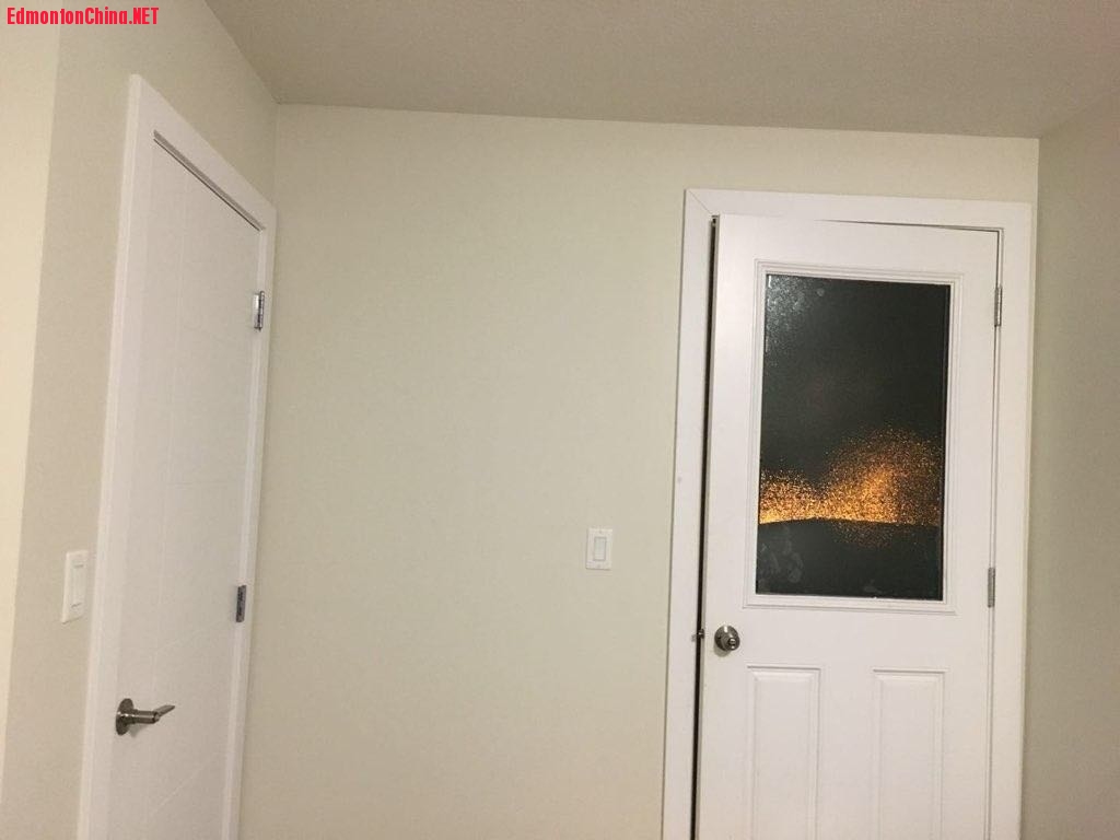 269417432.jpg