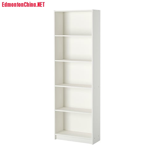 5level-bookshelf.JPG