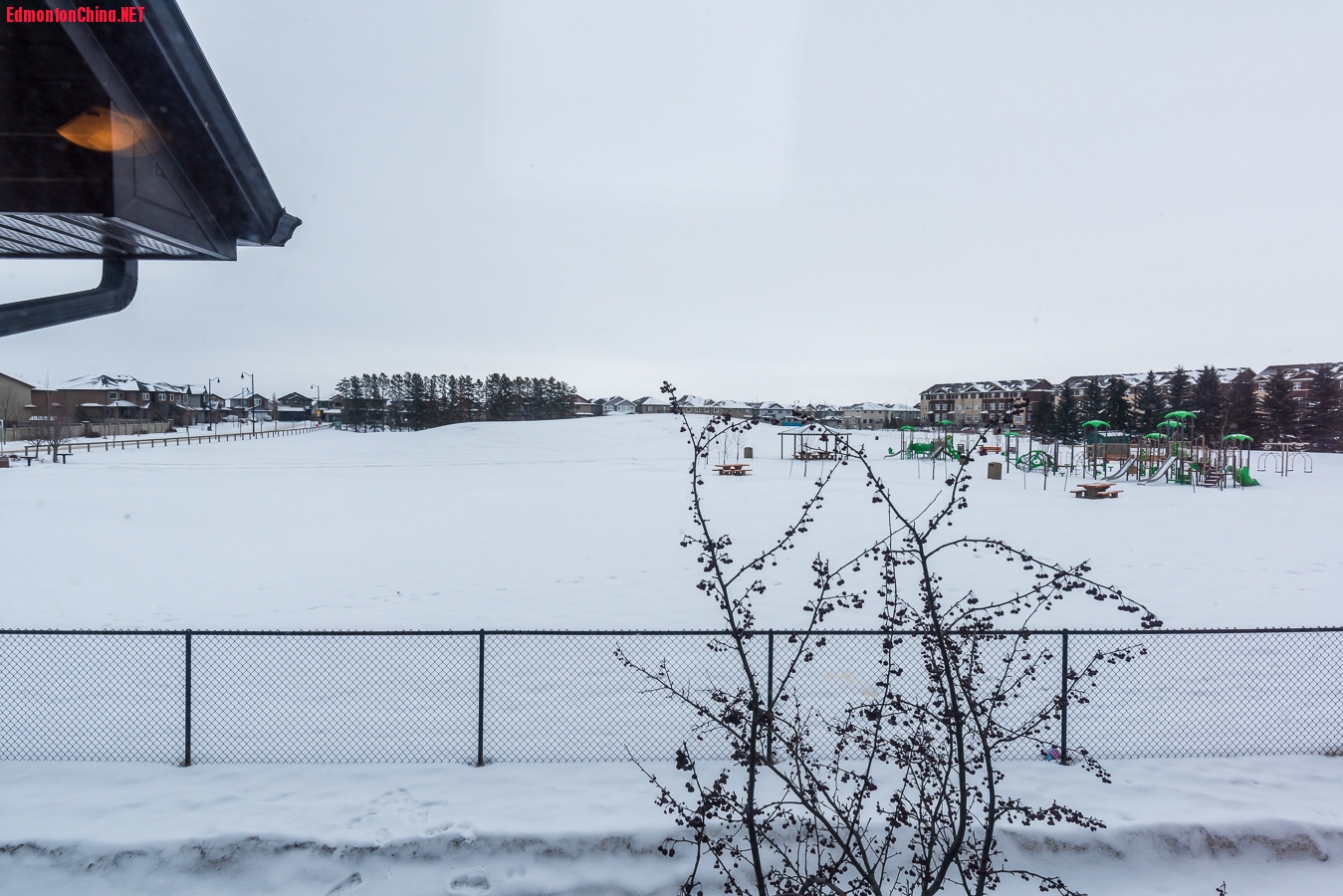16-DSC_3051.jpg