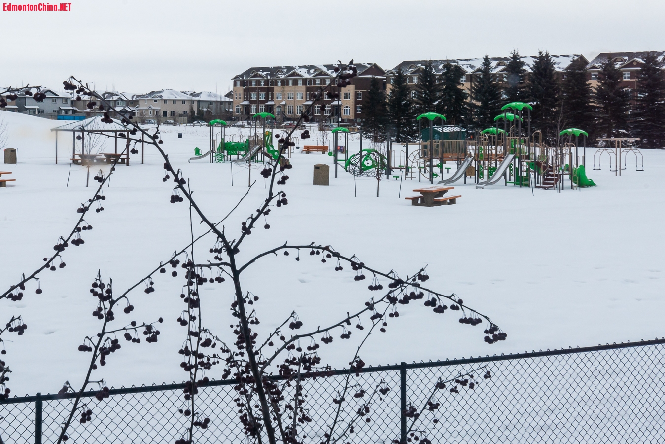 17-DSC_3072.jpg