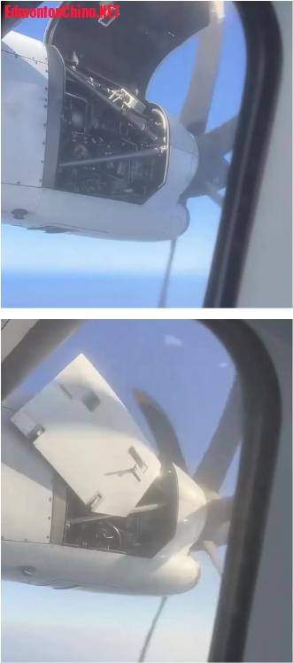 1747521244026.png