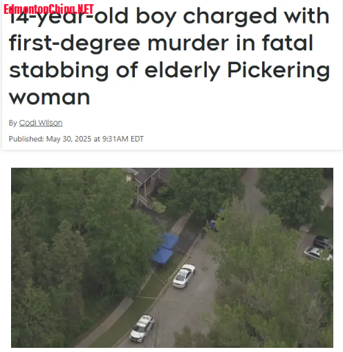 1748711089129.png