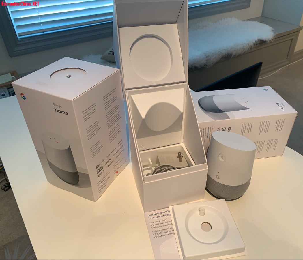 A08-Google Home Smart Speaker.jpg